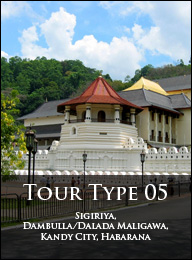 Type 05