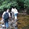 Kanneliya Rain Forest