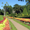 Peradeniya botanical garden