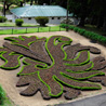 Hakgala Botanical Garden