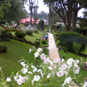 Nuwara Eliya Park