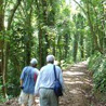 udawattakele-forest-sanctuary