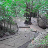 ritigala forest reservior