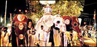 Navam Perahera