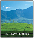 02 days tours