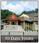 03 days tours