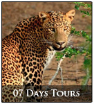 7 days tours
