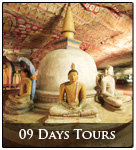 9 days tour